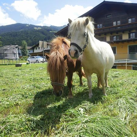 Landhaus Rustika Lägenhet Wagrain Exteriör bild